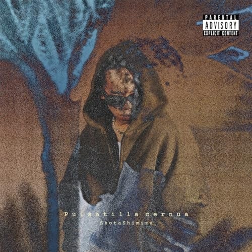 清水翔太 ／ Pulsatilla cernua(完全生産限定盤)(Blu-ray Disc付.. (CD) SRCL-13330