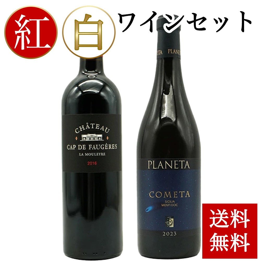 【 送料無料 お中元 夏ギフト 】紅白 ワインセット C（熨斗 ラッピング 可) ワイン ギフト セット お酒 御中元