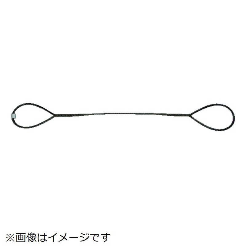 トラスコ中山　玉掛けワイヤーロープ 段落し 14mm×6m　TWD14S6