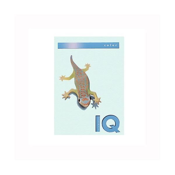 （業務用セット） 伊東屋 バイオトップカラー A4判 250枚入 160g／m2 BT807 ブルー 2セット