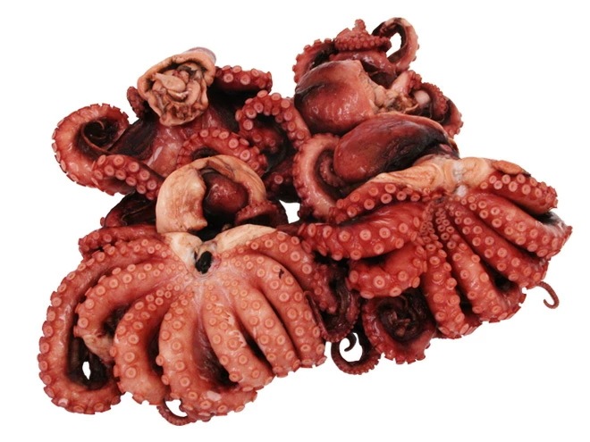 国産 =煮たこ(湯たこ) ヤナギダコ= 約3kg 大きさおまかせ　予約 入荷次第発送