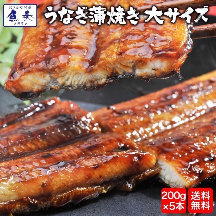 うなぎ蒲焼 200g 5本 長焼 炭火焼き 真空パック 最安値 鰻水産物加工品