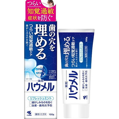 他サイト： ハウメル 薬用ハミガキ 100gの商品画像