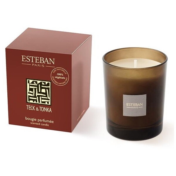 ESTEBAN(エステバン) テッケトンカ キャンドル 54012 5,346円