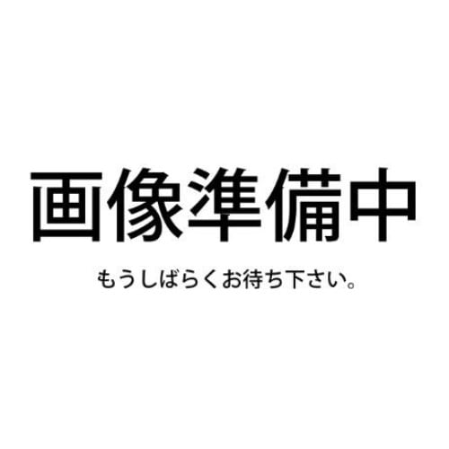 完全ワイヤレスイヤホン RB-F10D-K