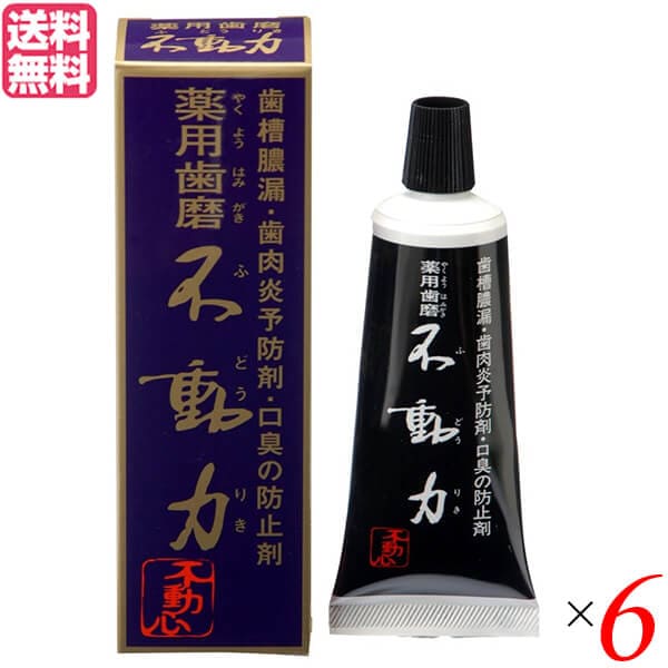 歯磨き ハミガキ 歯磨き粉 美の友 薬用自然派はみがき 不動力 80g 医薬部外品 6個セット