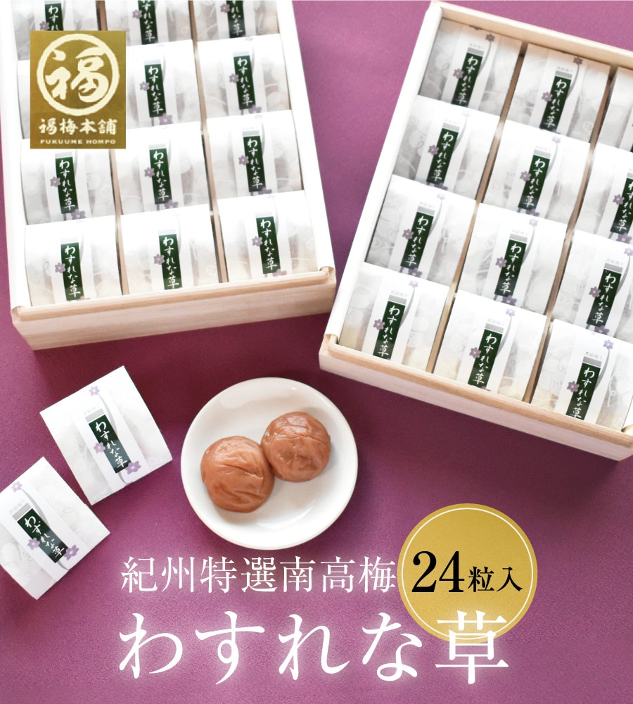 梅干し 香典返し お供え 仏事 はちみつ 南高梅干し 和歌山 南高梅 贈答 お礼 お返し 個包装 桐箱 わすれな草 24粒入