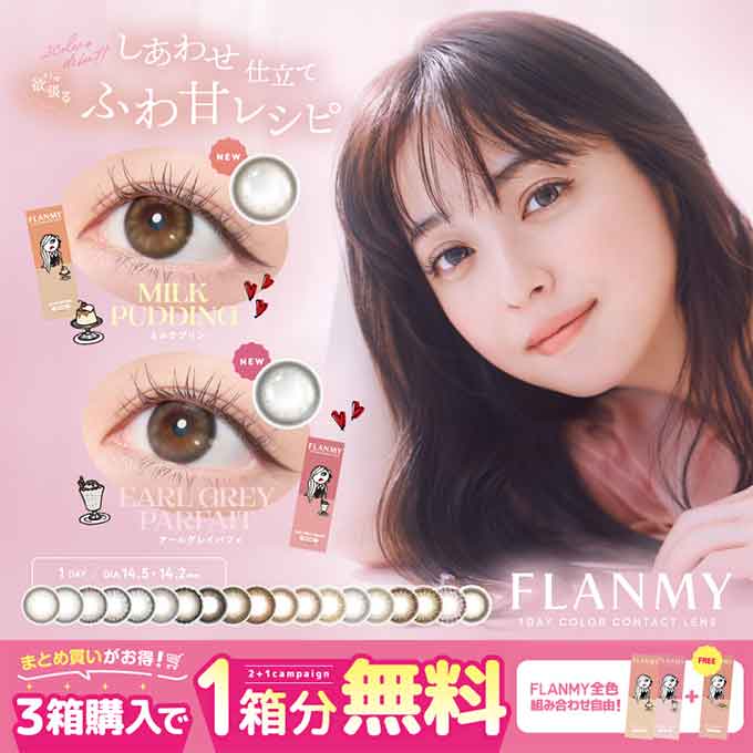 (4箱+2箱プレゼント)計60枚　カラコン 1day フランミー ワンデー en 度なし 度あり カラーコンタクトレンズ 14.2mm 14.5mm 佐々木希
