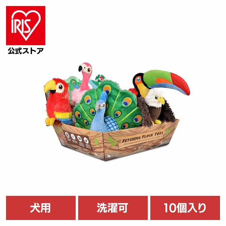【人気商品】フェッチングフロックBOXセット（10個入り） ルークラン
