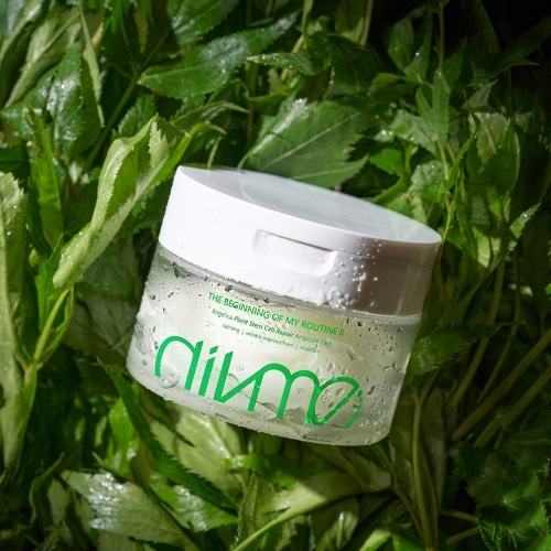 [DIVME / ディブミ] プラント ステム2 アンプル パッド(70枚) X 2