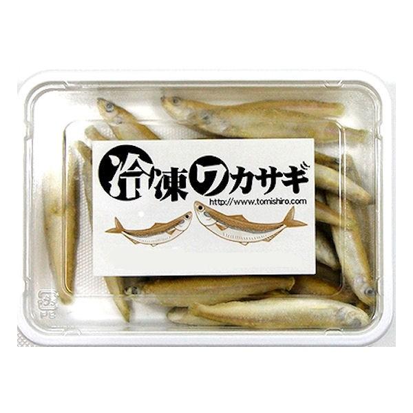 ワカサギ（バラ冷凍）100g×6個セット【クール便発送】冷凍餌 大型魚 肉食魚 アロアナ ピラニア