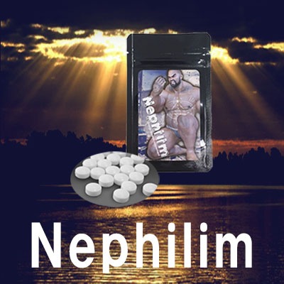 Nephilim 殿堂 最大83％オフ！ ネフィリム