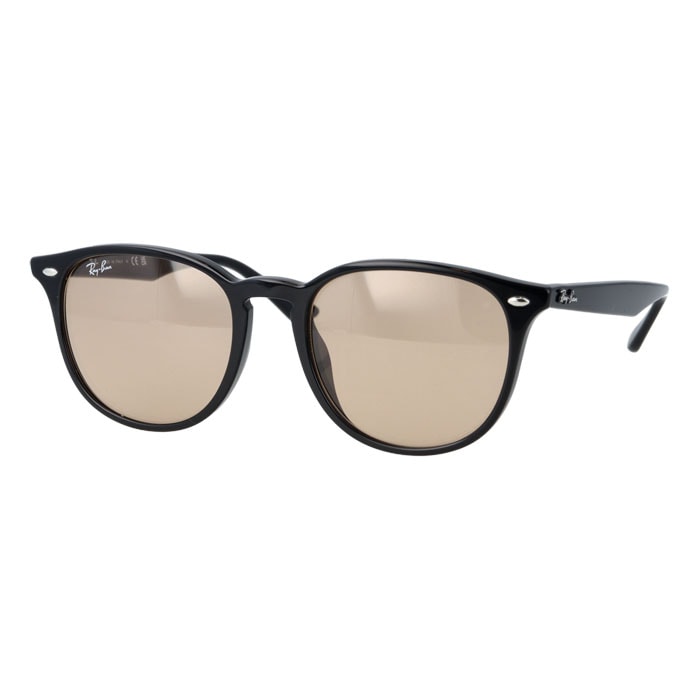 サングラス WASHED LENSES RB4259-F 601/93 53mm 紫外線 UVカット 国内正規品 保証書付き