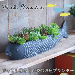 ほっこり愛らしい姿のお魚プランター 植木鉢 オブジェとしても使える魚型ポット セメント製　ハンドメイド品