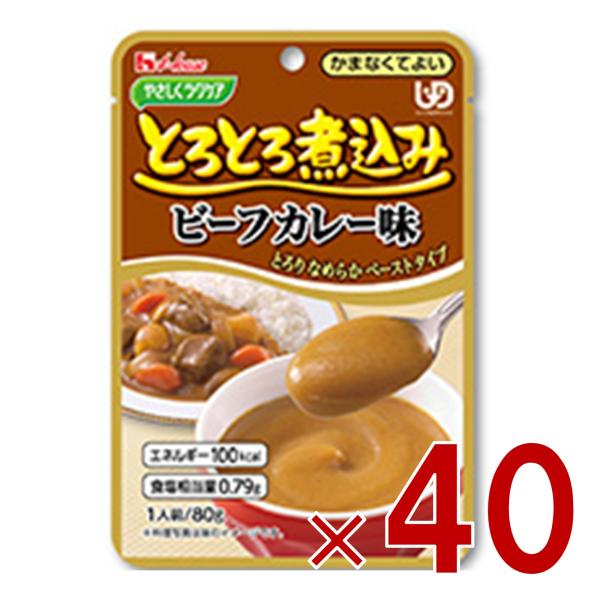 ハウス食品 やさしくラクケア とろとろ煮込み ビーフカレー味 80g ハウスギャバン ギャバン ケアフード 介護食品 レトルト かまなくてよい 惣菜 40個