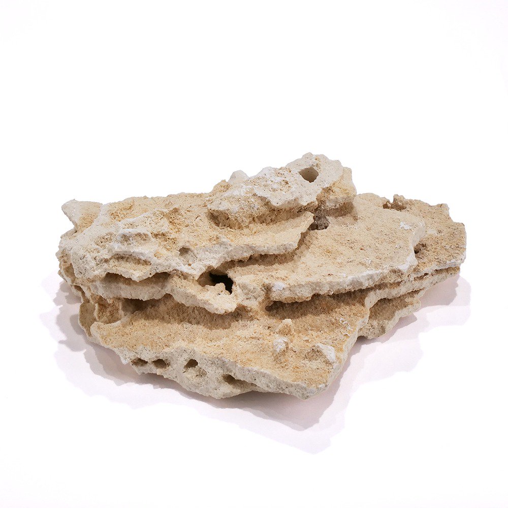 マルコロック　シェルフ　Ｓサイズ　１個　サンゴ　石　海水　水槽　飾り　レイアウト　ＣＲＣ21―20―90―00―00