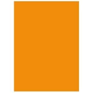 北越製紙 カラーペーパー/リサイクルコピー用紙 [B4 500枚x5冊] 日本製 オレンジ