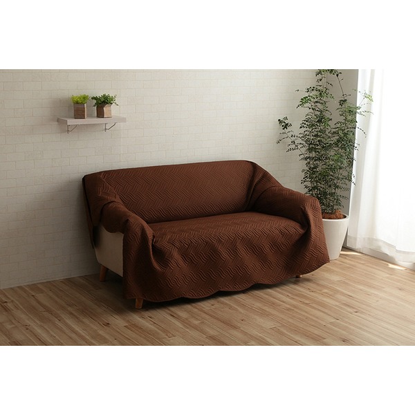 ADA LAB セラギネラ ウィルデノウィ バリエガータ