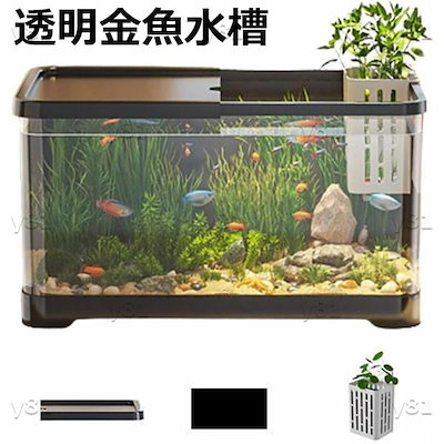 海水魚 水槽 セット Amazon | GankPike アクアリウムセット 超クリアガラス水槽 海水