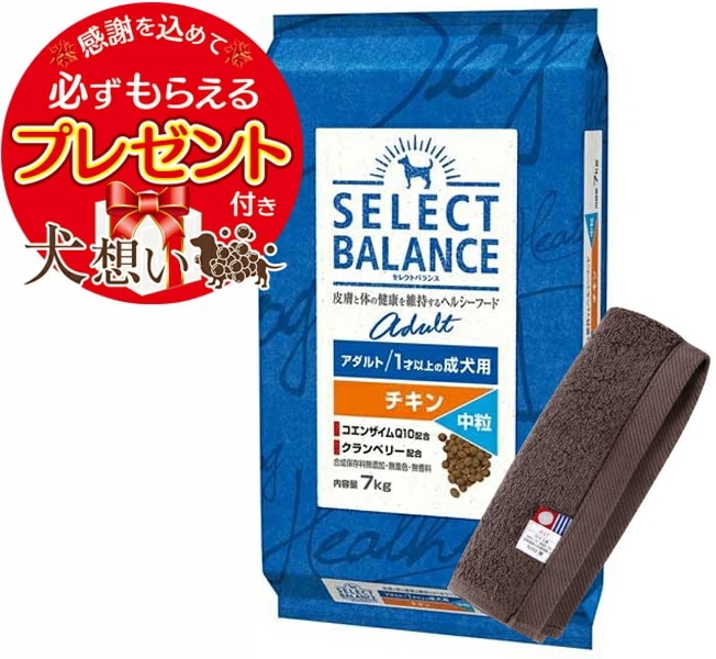 【プレゼント付】セレクトバランス アダルト チキン 中粒 １才以上の成犬用 7kg【犬想いオリジナル今治ハンドタオルセット】【タオルカラー モカ】【正規品】