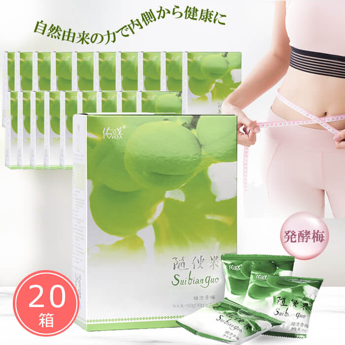 随便果 10gx15個 20箱セット ずいびんか 発酵梅 天然発酵食品 100％天然果実
