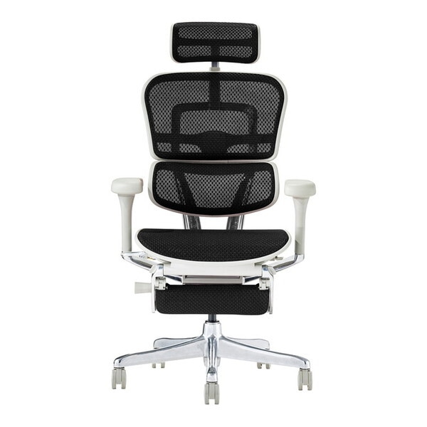 関家具 445401 EHP2-LPL-DR-GF-BK グレーフレーム×ブラック 高機能チェア (エルゴヒューマン プロ2 ハイタイプ オットマン) メーカー直送