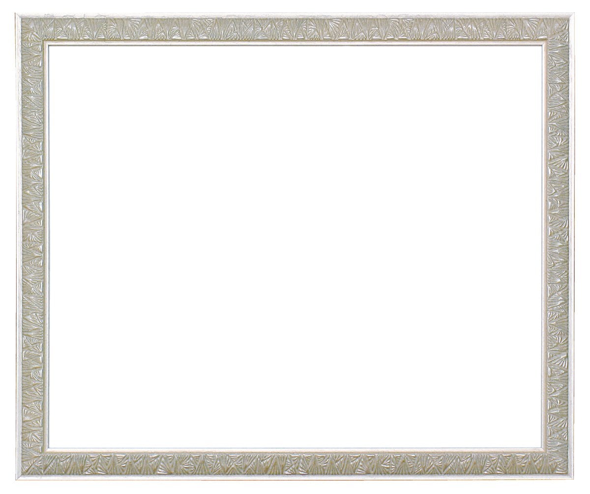 ラーソン・ジュール・ニッポン 額縁 アレキサンドリア シルバー 小全紙 アクリル DB04208