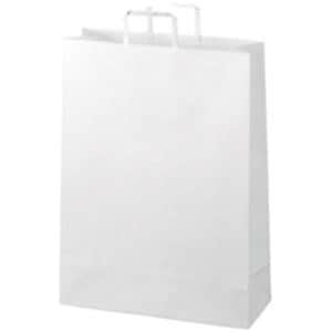 ジョインテックス 手提袋 平紐 白 特大 300枚 B294JW6