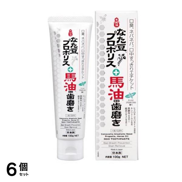一光ハミガキ(一光なた豆・プロポリス・馬油配合歯磨き) 100g 6個セット