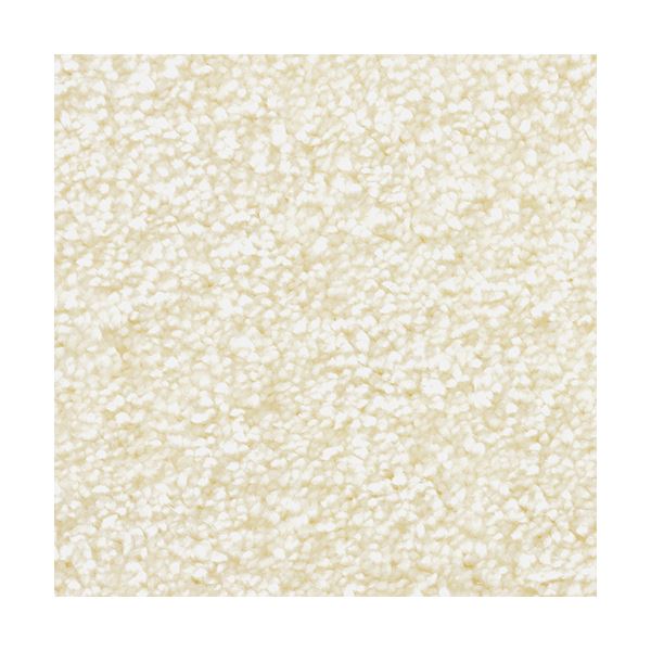 防炎 ラグマット/絨毯 [江戸間6畳 エクリュ] ホットカーペット対応 『ジェイド』 プレーベル