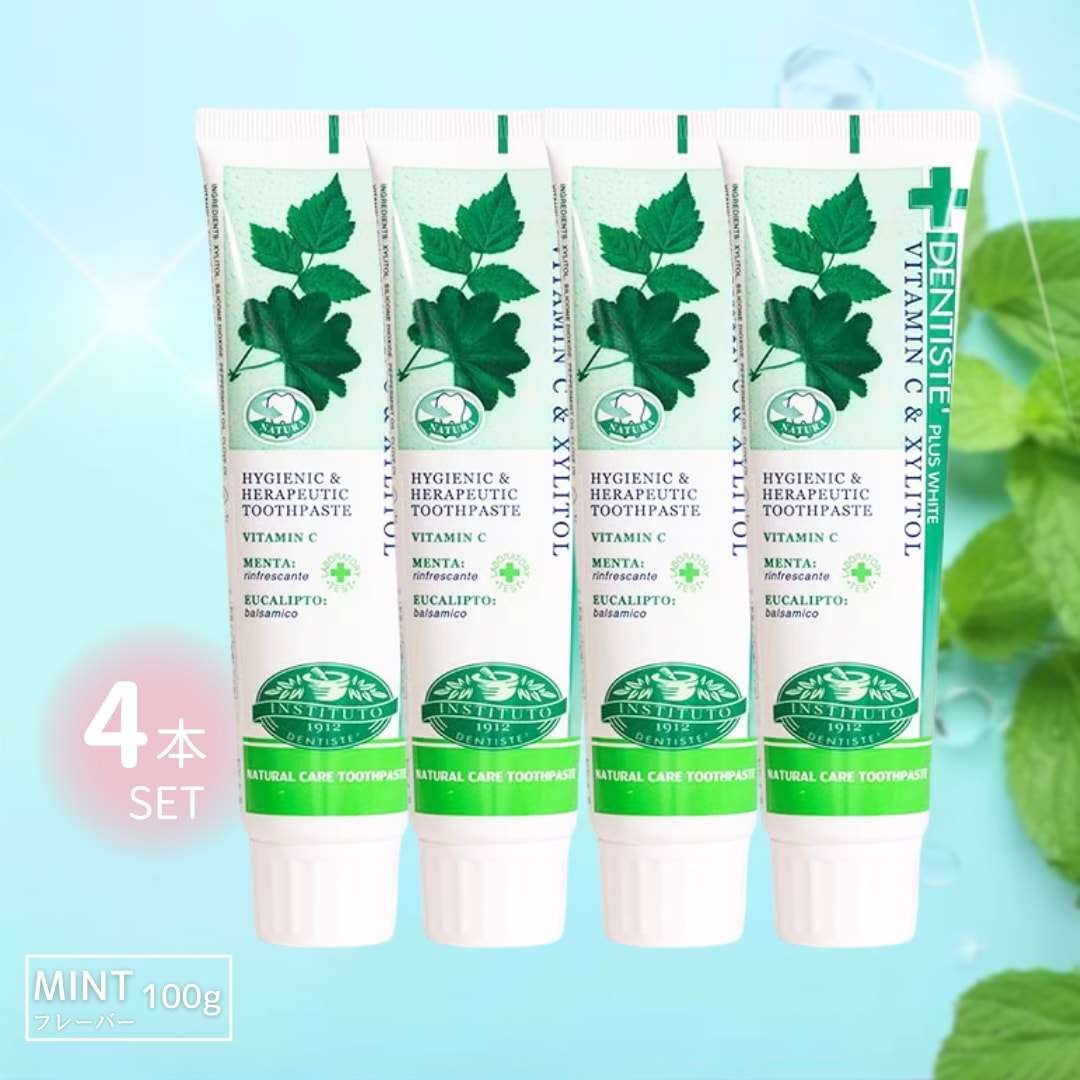 デンティス 歯磨き粉 ミント 口臭ケア 100g 4本セット