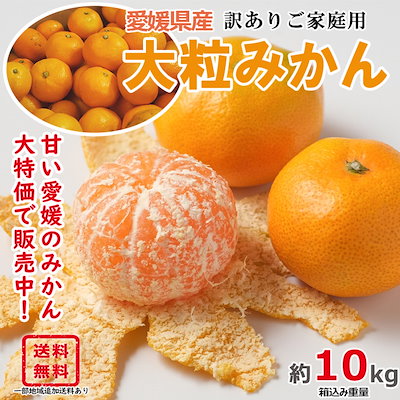 Qoo10] 愛媛県産 大粒みかん 10kg 訳ありご