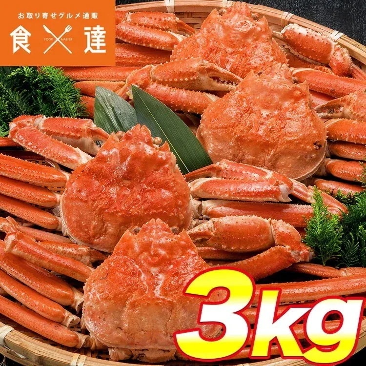 姿ずわいがに 3kg 5-7尾 蟹 カニ かに ずわいがに ズワイガニ カニミソ かにみそ 蟹味噌 業務用 訳あり 送料無料 ギフト お取り寄せグルメ 食品 ギフ