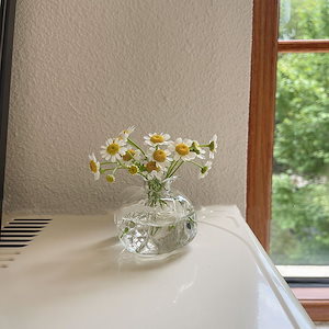 透明ザクロ花瓶インスタイル高価値ガラス水耕栽培ネットレッドルーム写真小道具リビングルーム装飾装飾品