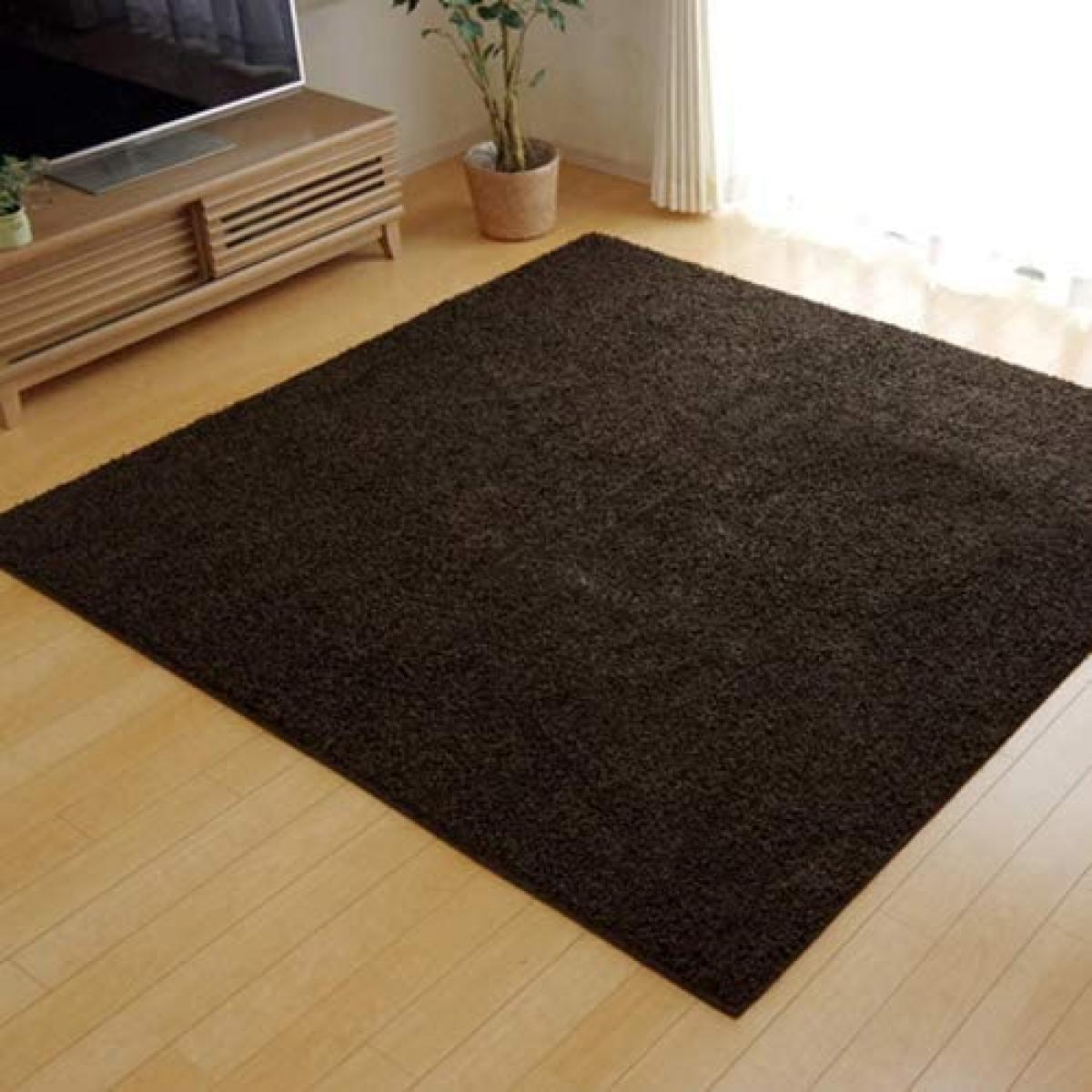 【I】【代引不可】ラグ・カーペット シャンゼリゼ平織り ブラウン約190×240cm ホットカーペット対応 防炎加工 シャギータイプ【北海道・沖縄・離島不可】【代引不可/沖