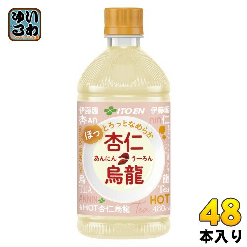 伊藤園 杏仁烏龍 ホット 480ml ペットボトル 48本 (24本入×2 まとめ買い) お茶 ウーロン茶 あんにんうーろん HOT