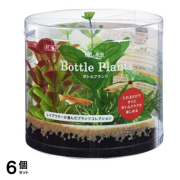 GEX 癒し水景 ボトルプランツ アヌビアス 1セット 6個セット