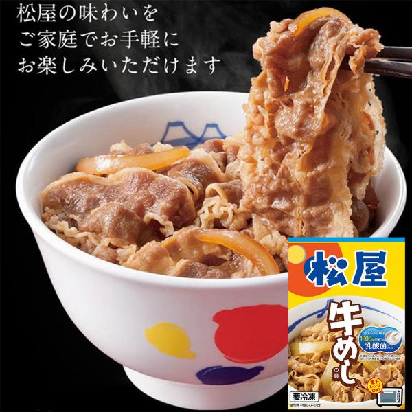 松屋 乳酸菌入り牛めしの具20個セット