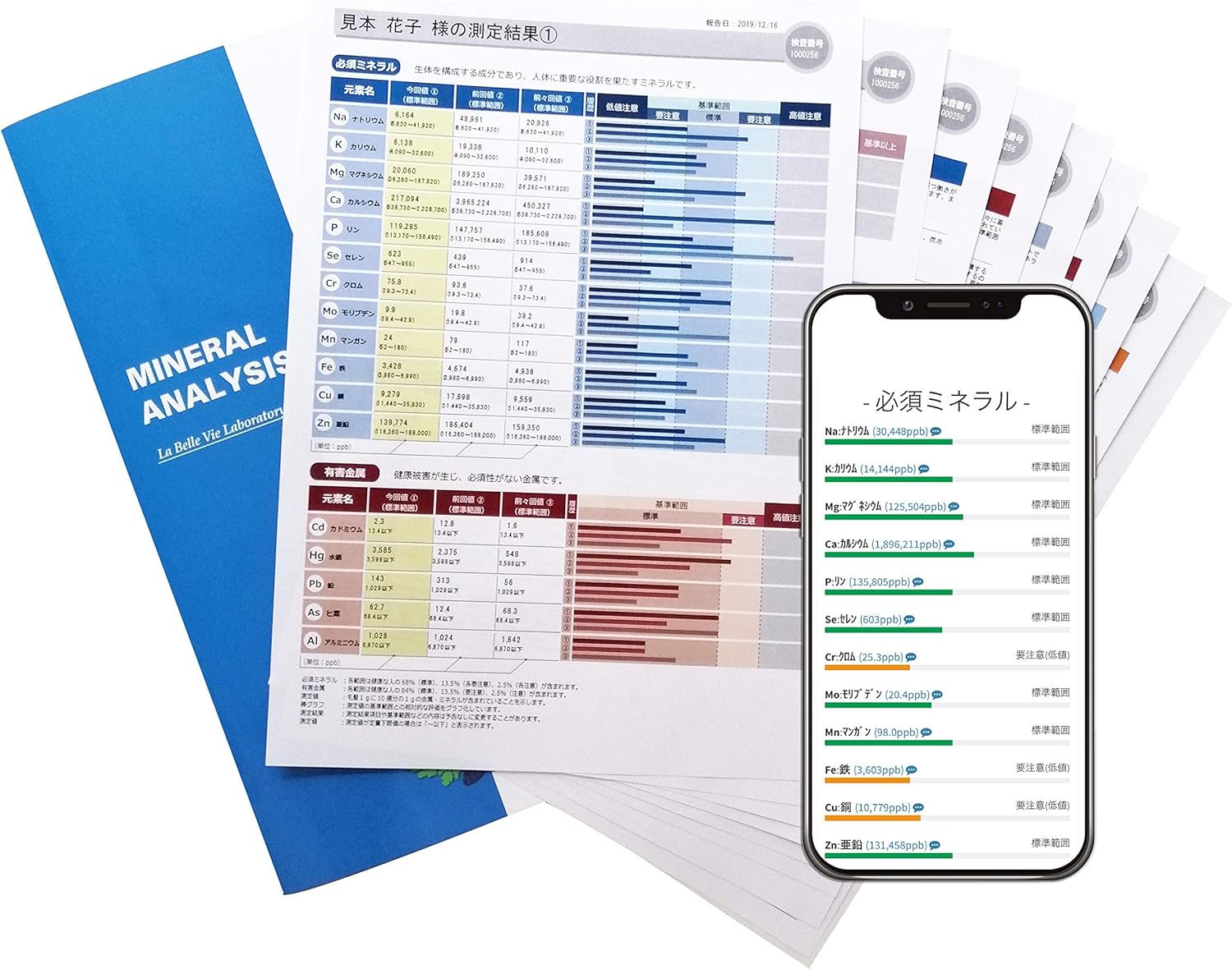 毛髪ミネラル検査【29元素】 必須ミネラル12元素 有害金属5元素 準有害金属3元素 参考ミネラル3元素 その他の金属6元素
