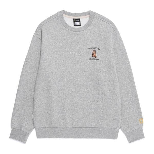 動物グラフィックマンツーマン N254USW030_M/GREY