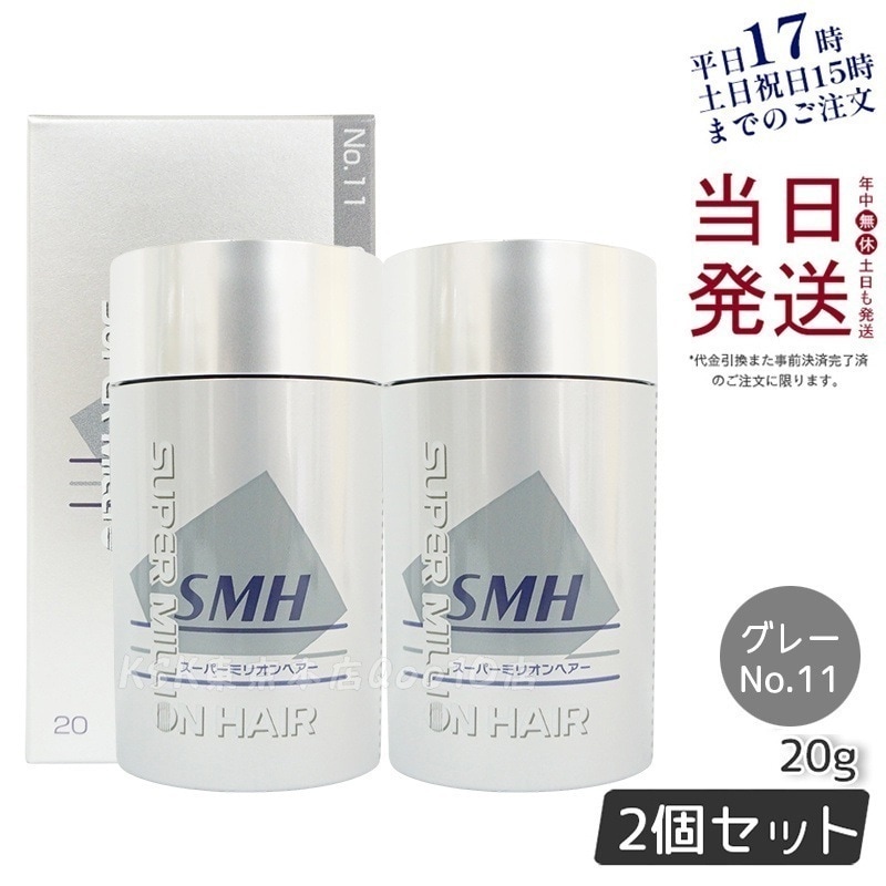 【2個セット】ルアン スーパーミリオンヘアー 20g No.11 グレー 髪 頭 薄毛隠し 薄毛 分け目 つむじ ボリューム 男性 女性 白髪かくし