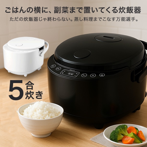 炊飯器 5合 マイコン式炊飯器 通常炊飯 保温＆予約OK 大容量 スチーム調理 早炊き 炊込み 玄米 お粥 再加熱 保温 RM-231H HK-RC505WH