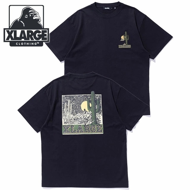 メール便 デザート ショートスリーブ Tシャツ [101251011024] DESERT S/S TEE メンズ トップス 半袖 バックプリントティー BLACK 正規取扱店