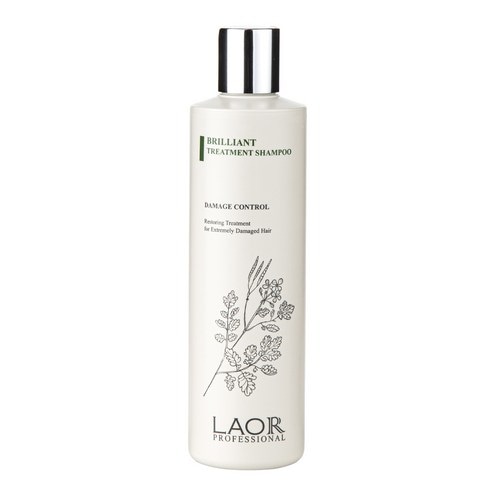 ラオール ブリリアント トリートメント シャンプー 300ml 韓国 シャンプー ヘアケア プレミアム 保湿シャンプー