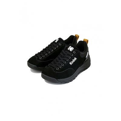 大変貴少・入手困難 素晴らしい「富川潤の水墨画による良寛扇面画集