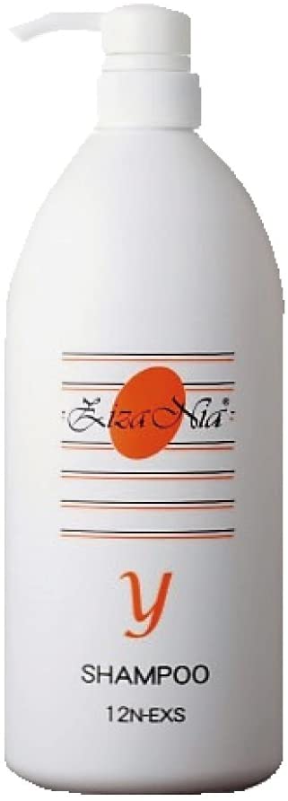 ジザニア シャンプーY お得用1,000ml シャンプー