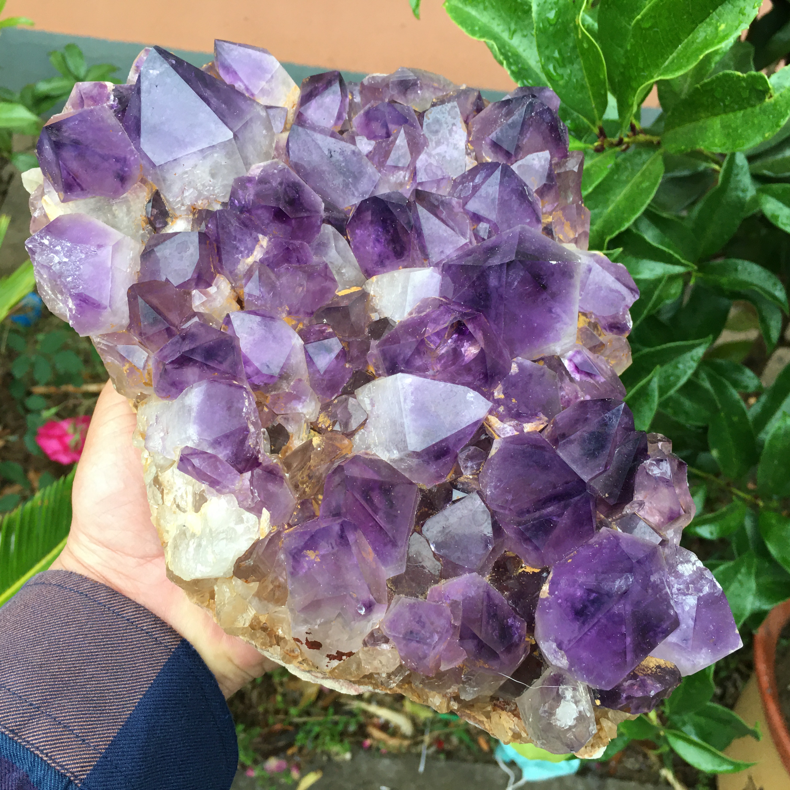 紫水晶晶簇，天然水晶，5040g