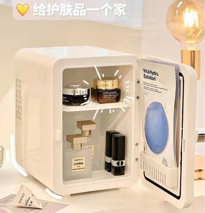 美容品を保存する 電化製品 冷凍家電 6L 車両用 コンパクト 冷蔵庫 新品冷凍ツール 冷凍庫 家庭用 110v 小型家庭用 小型