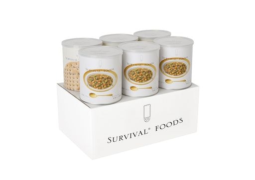 サバイバルフーズ 小缶 ファミリーセット 野菜シチュー 1068g