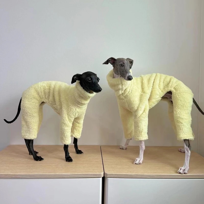 Italian greyhound-4脚のジャンプスーツ,暖かい冬の暖かい犬のコート,グレー巻き取り,犬の服